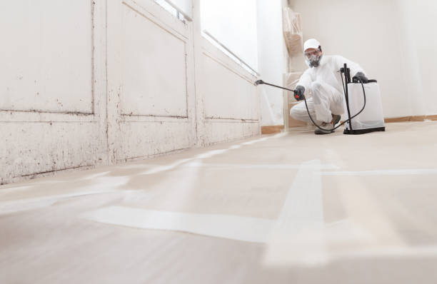 24/7 Emergency Mold Testing experts in Glen Hope, PA